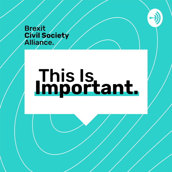 Artwork for This Is Important.