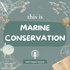 This is Marine Conservation | ocean science, stories, and solutions to protect our blue planet