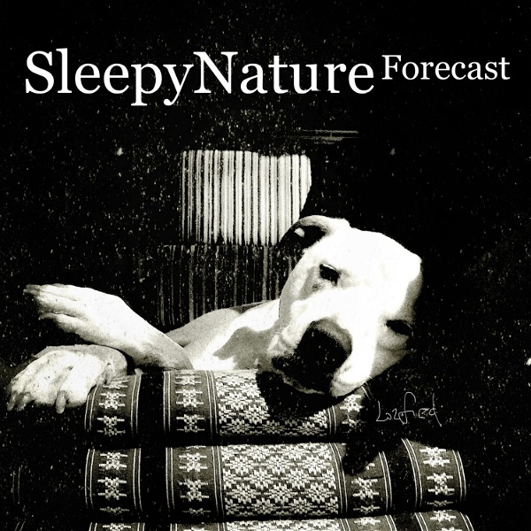 Artwork for Sleepy Nature Forecast