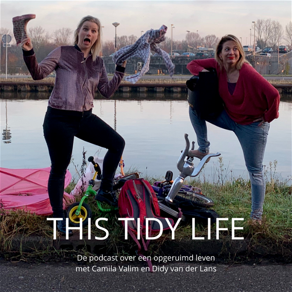 Artwork for This Tidy Life