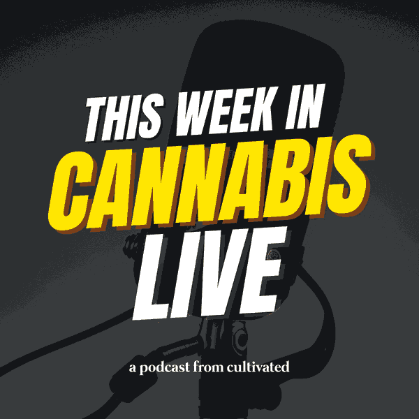 Artwork for This Week in Cannabis Live
