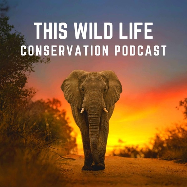 Artwork for This Wild Life Conservation Podcast