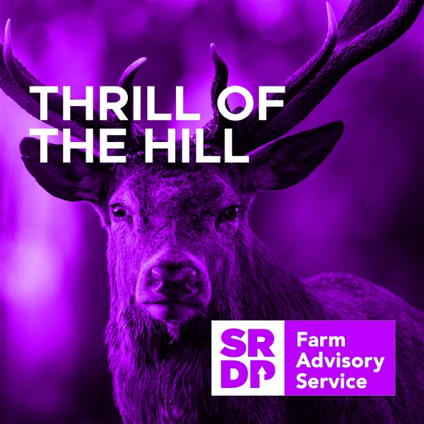 Artwork for Thrill Of The Hill