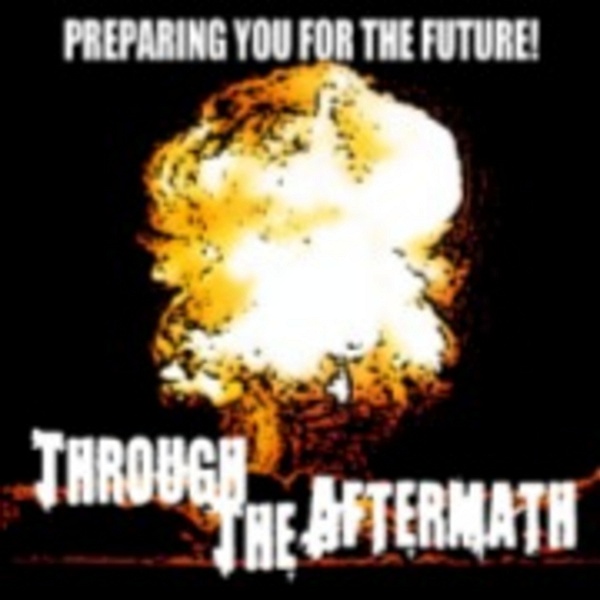 Artwork for Through the Aftermath