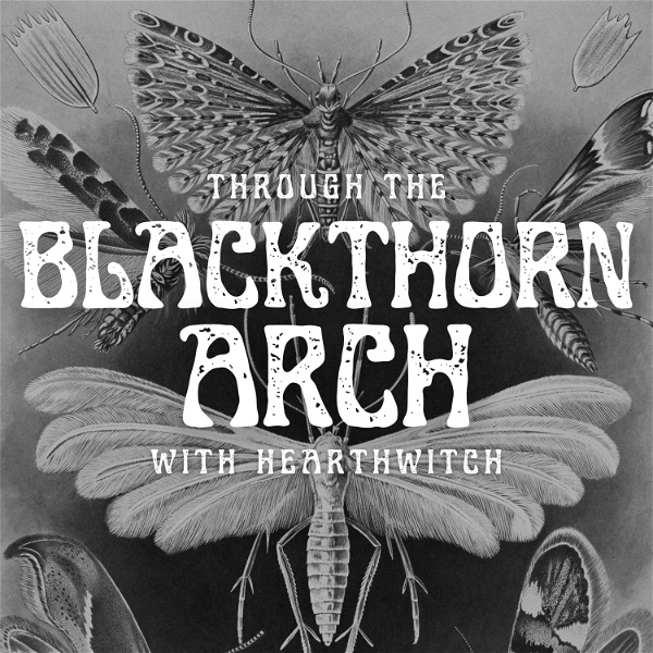 Artwork for Through the Blackthorn Arch