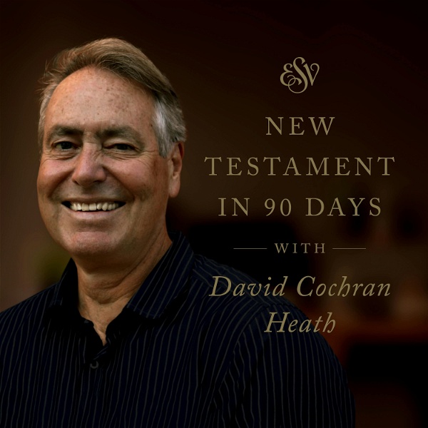 Artwork for Through the ESV New Testament in 90 Days
