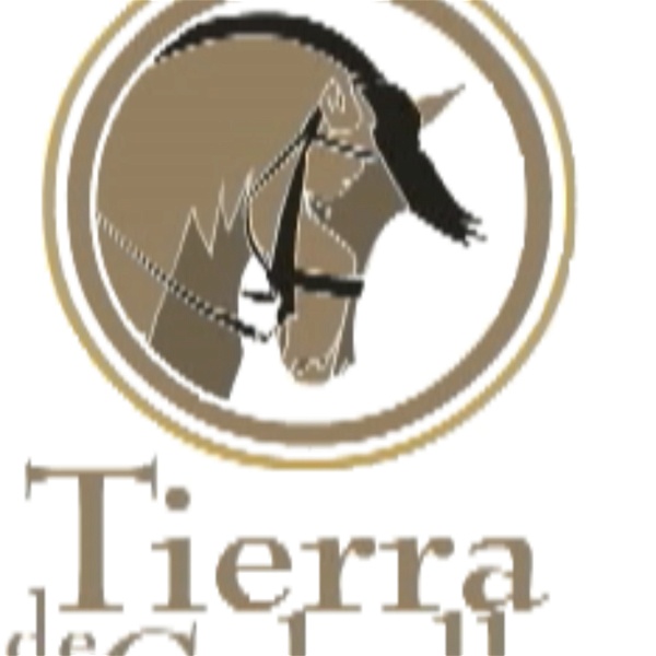 Artwork for Tierra de caballos