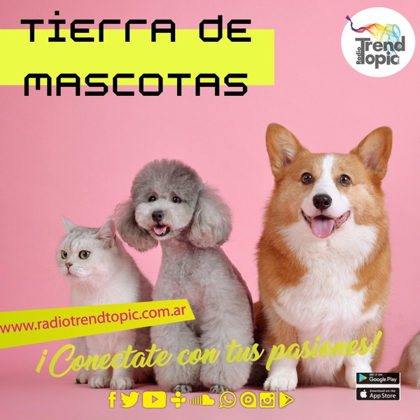 Artwork for Tierra de Mascotas