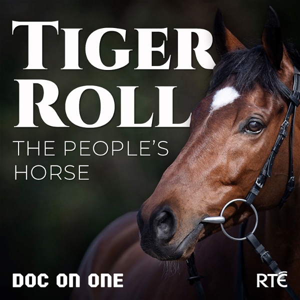 Artwork for Tiger Roll: The People's Horse