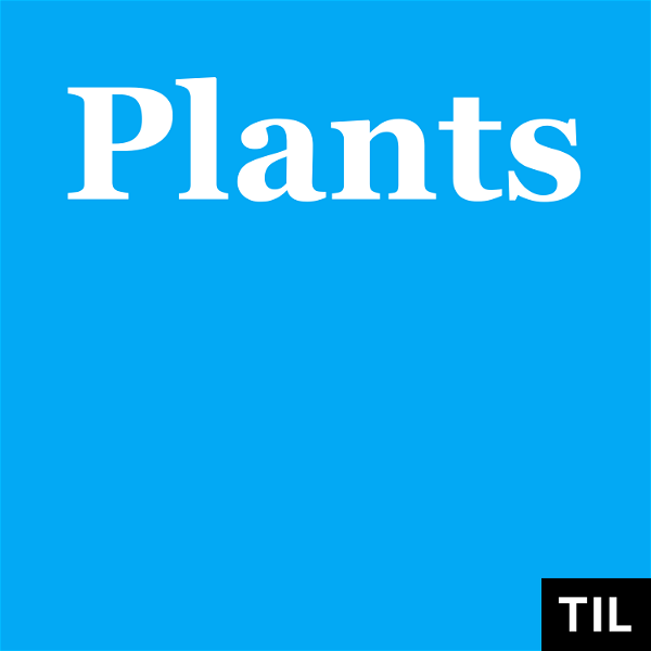 Artwork for TIL: Plants