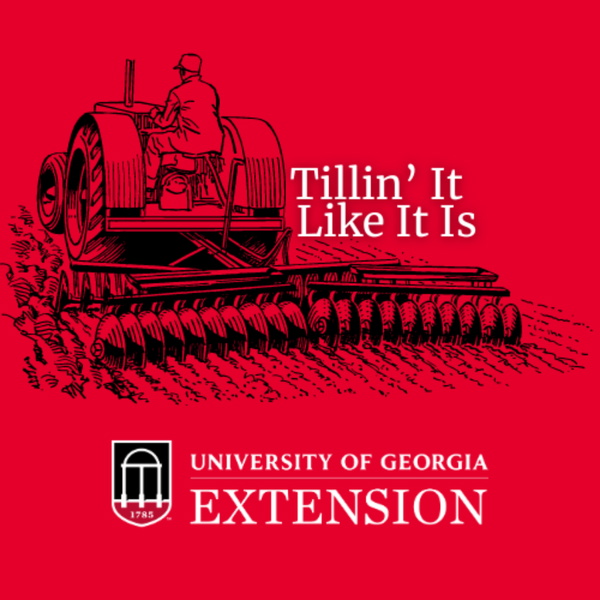 Artwork for Tillin' It Like It Is: Agriculture and Community Development