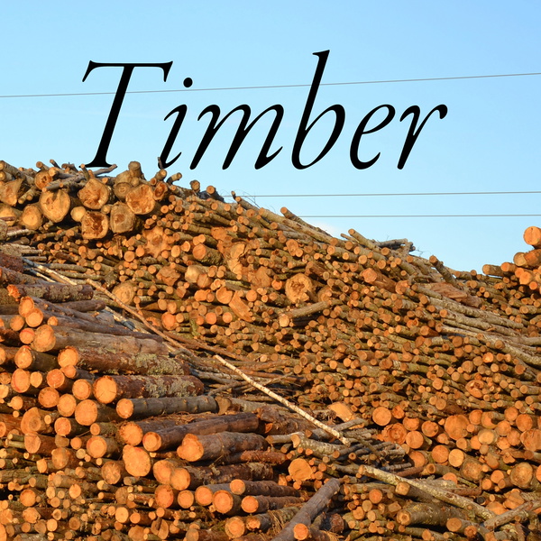 Artwork for Timber