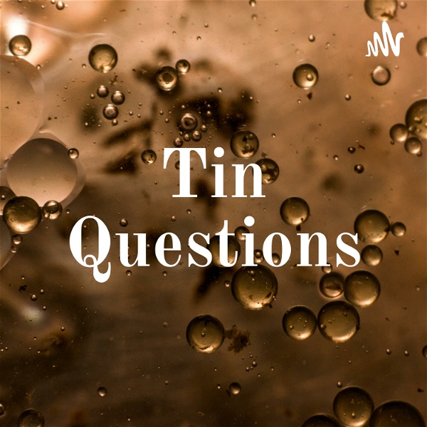 Artwork for Tin Questions