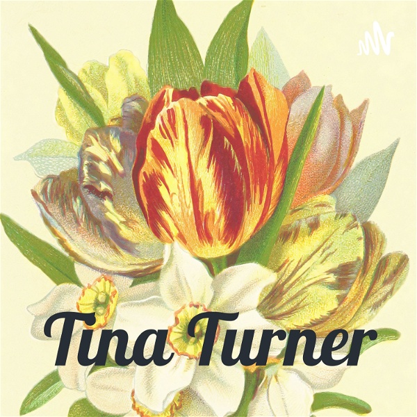 Artwork for Tina Turner