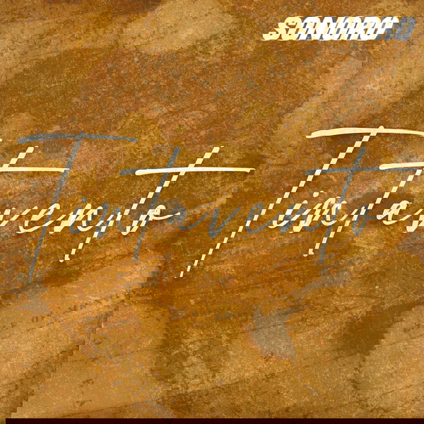 Artwork for Tintavento