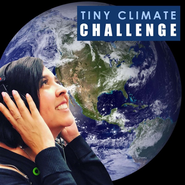 Artwork for Tiny Climate Challenge
