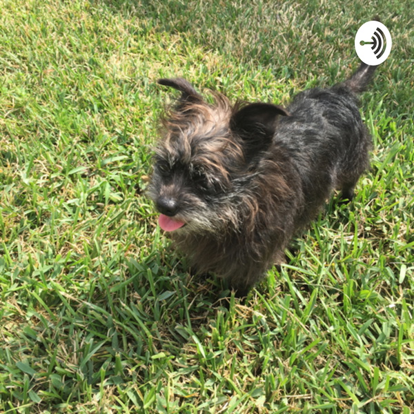 Artwork for Tito’s corner