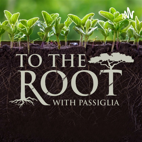Artwork for To The Root with Passiglia