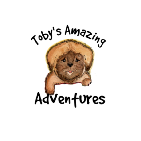 Artwork for Toby's Amazing Podcast Stories