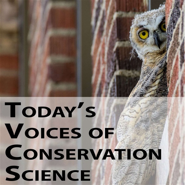 Artwork for Today's Voices of Conservation Science