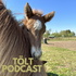 Tölt Podcast
