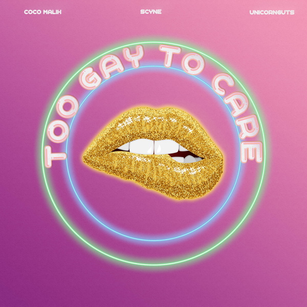 Artwork for Too Gay To Care
