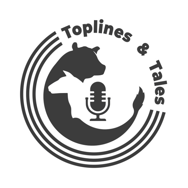 Artwork for Toplines and Tales