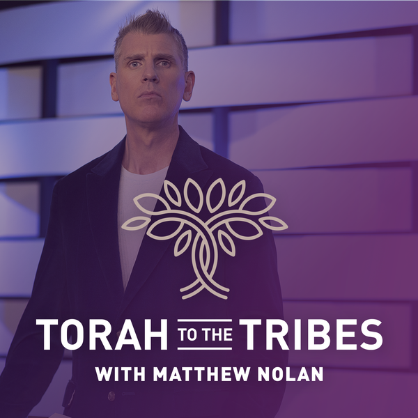 Artwork for Torah to the Tribes