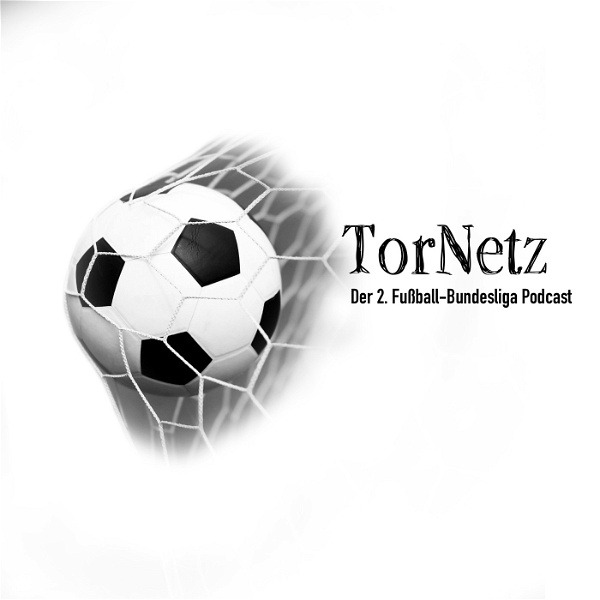 Artwork for TorNetz