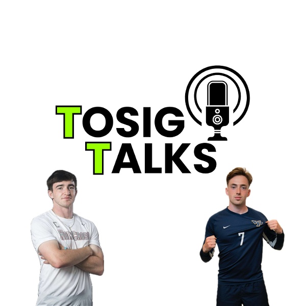 Artwork for TOSIG TALKS's Podcast