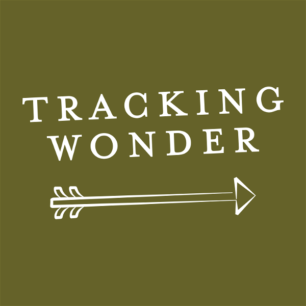 Artwork for Tracking Wonder Podcast