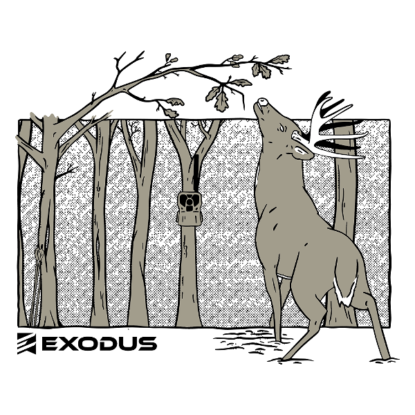 Artwork for The Exodus Podcast