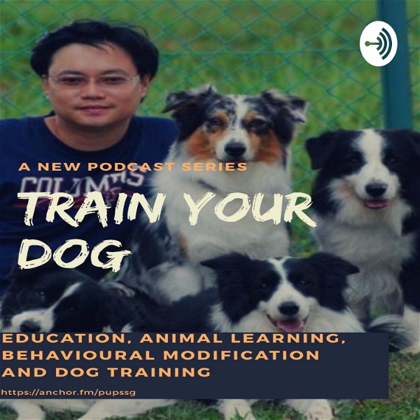 Artwork for Train Your Dog