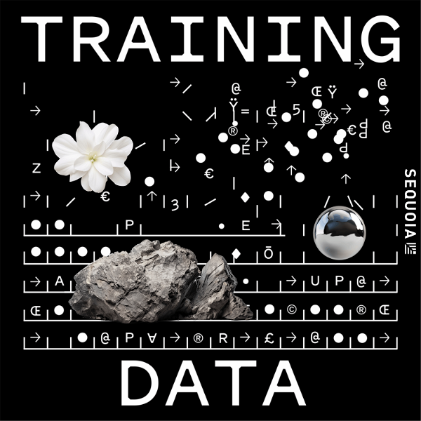Artwork for Training Data