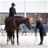De "goed bekeken" paardenpodcast door Bianka Farkas en Celine van der Stroom