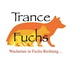 Trance Fuchs - die Hypno Entspannung