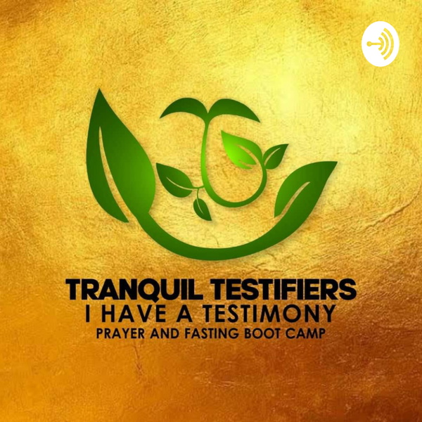 Artwork for TRANQUIL TESTIFIERS