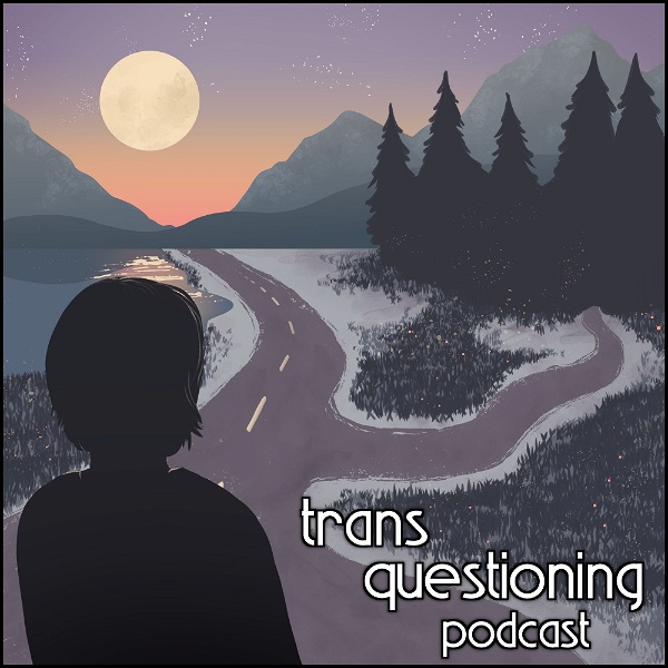 Artwork for Trans Questioning Podcast