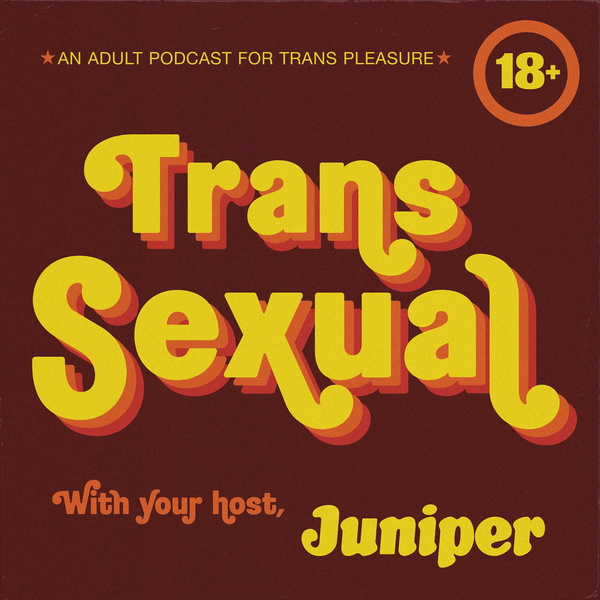 Artwork for Trans Sexual Podcast