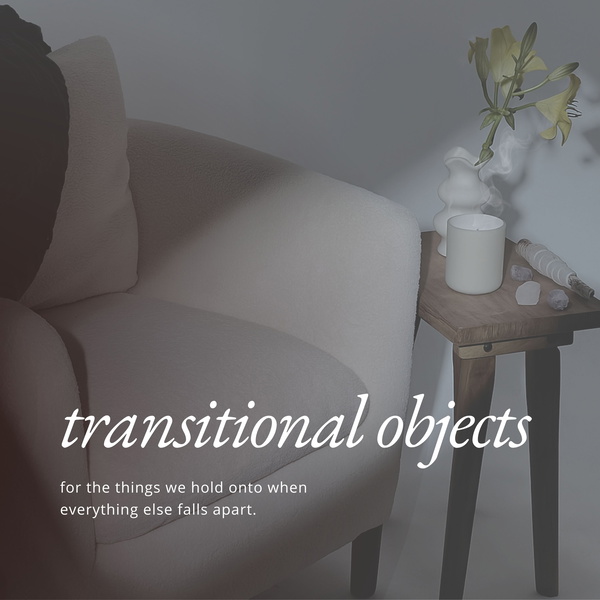 Artwork for Transitional Objects