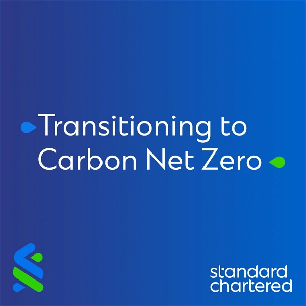 Artwork for Transitioning to Carbon Net Zero