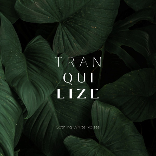 Artwork for Traquilize