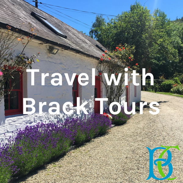 Artwork for Travel with Brack Tours