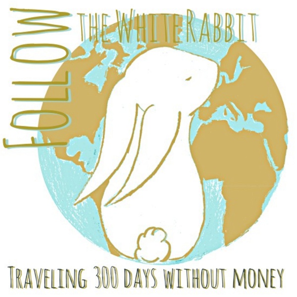 Artwork for Traveling 300 days without money 💸