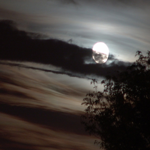 Artwork for Trazador de Pesadillas Podcast