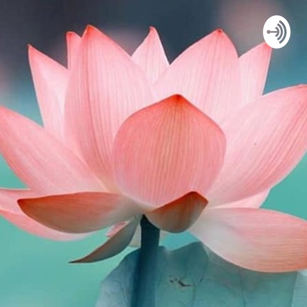 Artwork for Três Minutos De Respiração E Gratidão