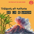 Trésors et nature de La Réunion