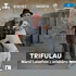 Trifulau