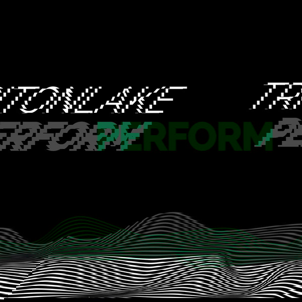 Artwork for TritonLake Perform