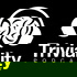 TRIVIALITY - A Trivia Game Show Podcast